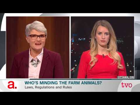 Animal Rights Lawyer Vs Dairy Farmer