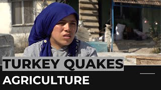 Turkey's farming industry affected by earthquakes