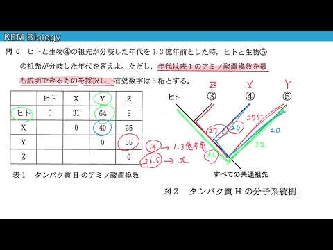 系統樹について詳しく解説