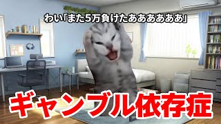 【猫ミーム】パチンコに溺れギャンブル依存症になった時の話