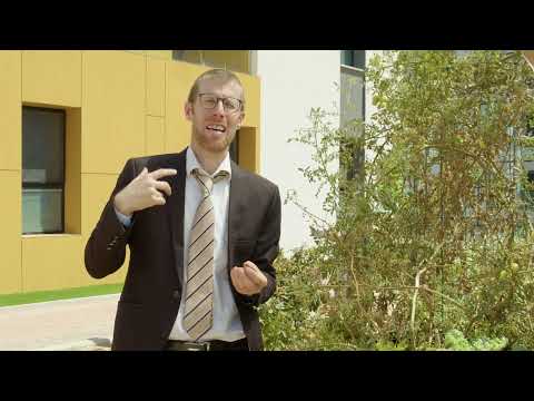 Eating in the garden without separating terumot and ma'aserot