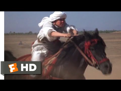 The Black Stallion Returns (1983) - The Race Begins Scene (9/12) | Movieclips