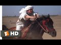 The Black Stallion Returns 1983 The Race Begins Scene 9 12 Movieclips