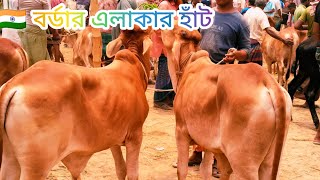 ১৪.৫.২৫ 🇮🇳 মাশাআল্লাহ! সুন্দর বর্ডার কোর্স শাইওয়াল কোয়ালিটি ষাঁড় বাচ্চা দামদর জানুন পাঁচবিবি হাঁট
