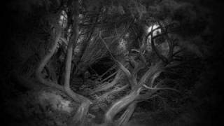 Ashes You Leave - Never Again Alone in the Dark