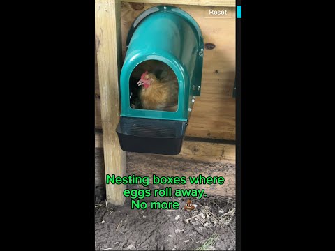 5 Pack Nesting Boxes for Chicken Coop - Chicken Nesting Box for Laying Eggs -  Review!