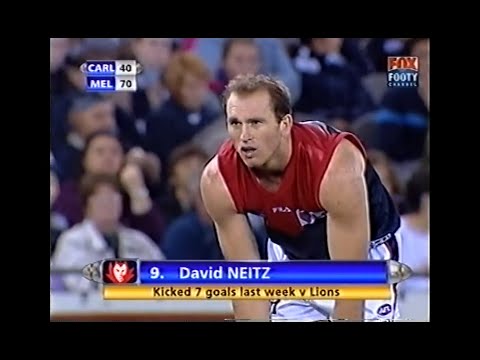 David Neitz - Melbourne - 9 goals v Carlton - 2002 Round 15 -  AFL