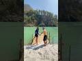 Pooja Hegde And Varun Dhawan Swimming In Rishikesh Shooting For HaiJawaaniTohIshqHonaHai