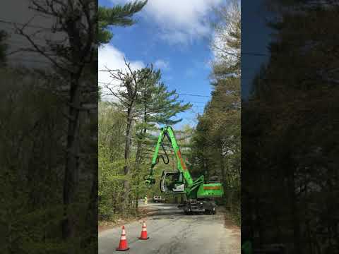 SENNEBOGEN 718 Demo clip - Taking down large tree in less than 5 minutes
