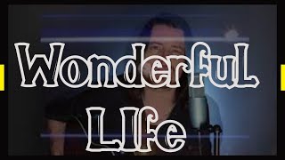 Wonderful Life (Nick Cave Cover)