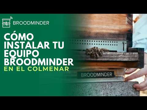 Instale dispositivos en el colmenar