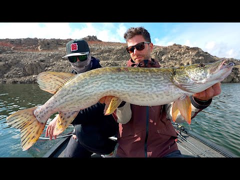Pike fishing in Sardinia - The Island Ep. 3
