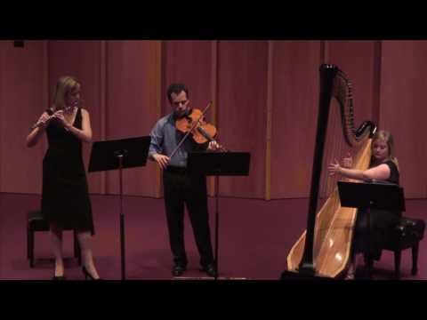 Lyrica Trio - Jan Bach - Eisteddfod - Variations and Penillion on a Welsh harp tune - Part 2
