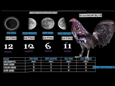 CALENDAR GUIDE BY MANANARI TV