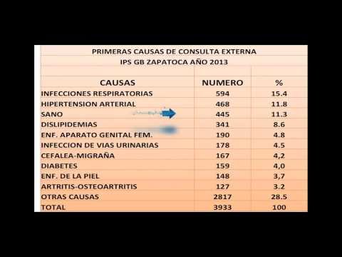 Zapatoca.net - Zapatoca.net -