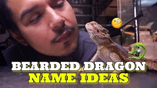 Bearded Dragon Name Ideas | How To Pick The Right Name For Your Dragon!