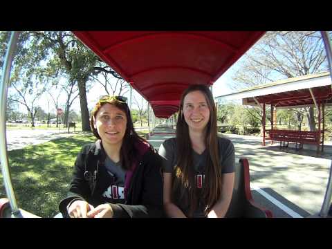 Tsar Feodor (Theodore III)