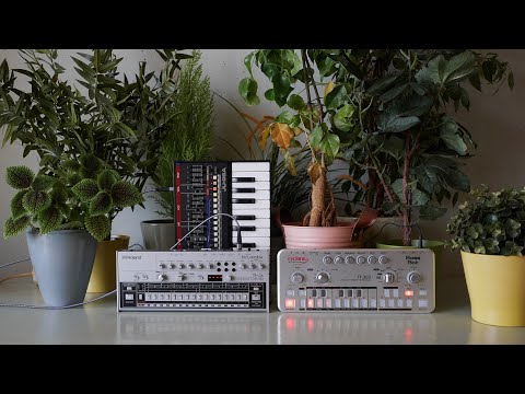 Snot Monkey - Acid 036 (Cyclone Analogic TT-303, Roland TR-06, JU-06A) (slow, dubby acid)