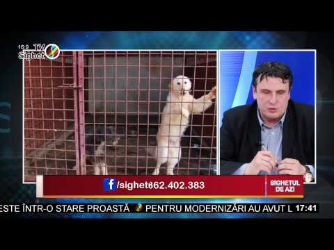 Sighetul de azi 10 martie 2015 - Despre activitatea societatii Urbana in 2015