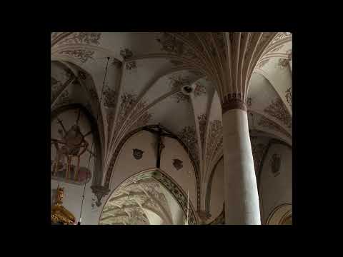 Video thumbnail for Crux fidelis