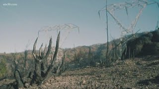 PG&E makes clear that customers' power will be shutoff to prevent fires | Daily Blend