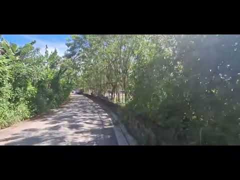 Complejo Deportivo Santiago Texacuangos.