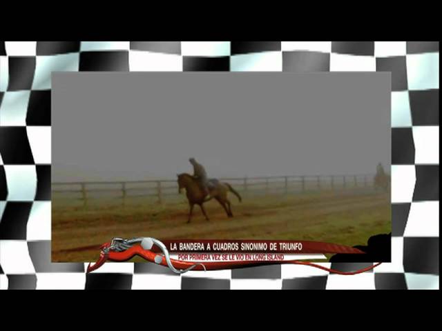 Vídeo relacionado con CWPFVQA 1 Juego De Banderas De Carreras, Banderas Triangulares, Banderas A Cuadros En Blanco Y Negro, Decoraciones De Competencia De Carreras, Decoraciones De Escenas De Fiestas De Carreras