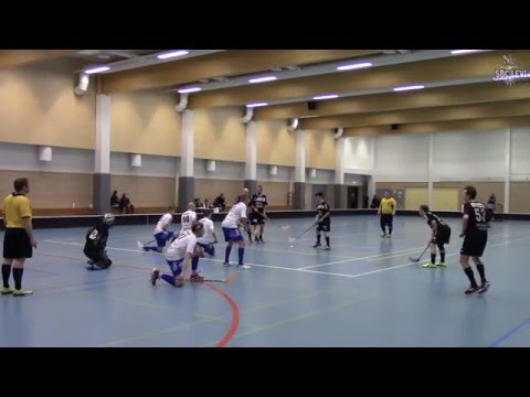 Maalikooste: MuPS - SBC Levi 2-2 @ Putaanhalli, Tornio 12.12.2015