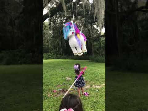 Pony Piñata Party (FUN)