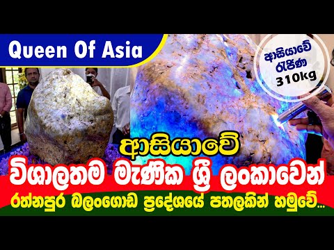 QUEEN OF ASIA ආසියාවේ රැජිණ | THE LARGEST NATURAL SAPPHIRE FROM SRI LANKA | SAMIYA SL