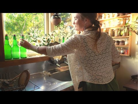 Homemade Ginger Beer | Perfect Drink for Summer