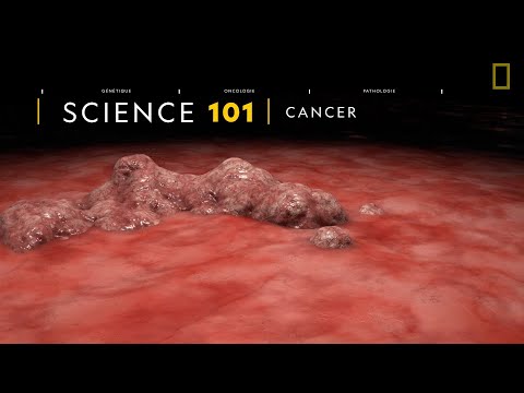 COMPRENDRE : le cancer