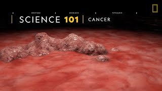 Download lagu COMPRENDRE : le cancer mp3 Download lagu COMPRENDRE : le cancer mp3