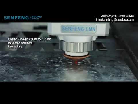 SF1313G Small Metal Sheet Laser Cutting Machine