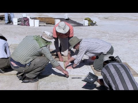 Humans' Earliest Evidence of Tobacco Use Uncovered in Utah