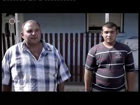 Közösségi gyümölcsbank és tankert létrehozása - Onga