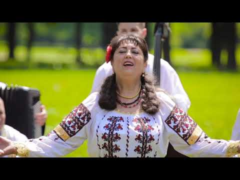 Orchestra Busuioc Moldovenesc și Anisoara Prisacaru - Fraților să vă-npacați