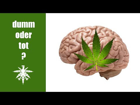 Cannabis macht nicht dumm und tot | DHV News #64