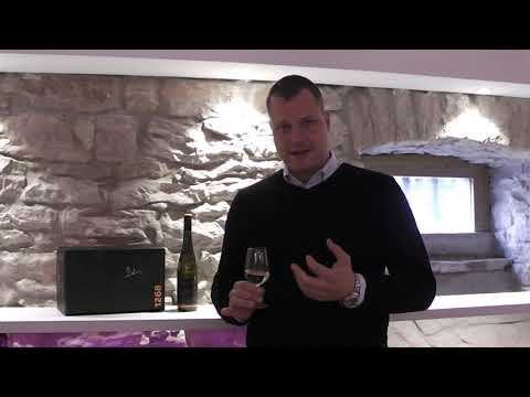 Steilflug Riesling Klosterbergfelsen, Weingut Nägelsförst | weinhelden.de