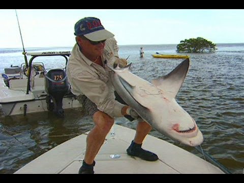 Rybaření na Florida Everglades