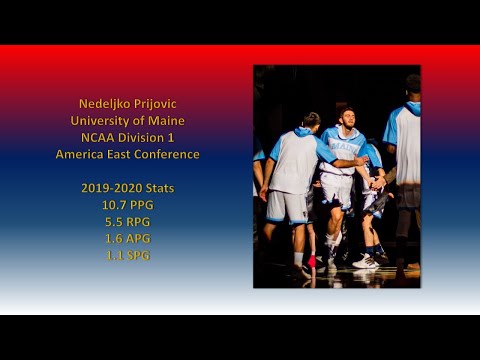 Nedeljko Prijovic 2019/2020 Highlights