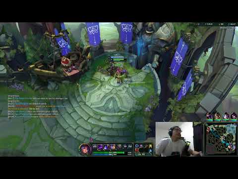 partida antiayer, Main lilia top