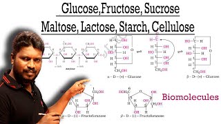 Cyclic Structure of Glucose | Fructose | Sucrose | Maltose | Lactose | Starch & Cellulose