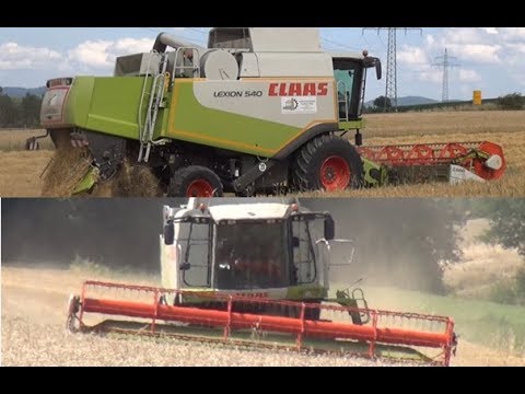 Claas-Power beim Dreschen - Lexion 540 und Lexion 570 Montana - LU Ruhland