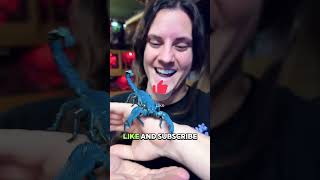 Download lagu What to Do If a Scorpion Stings You mp3