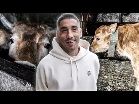 , title : '24 horas con COTE: su granja de vacas, Sporting y Roces'