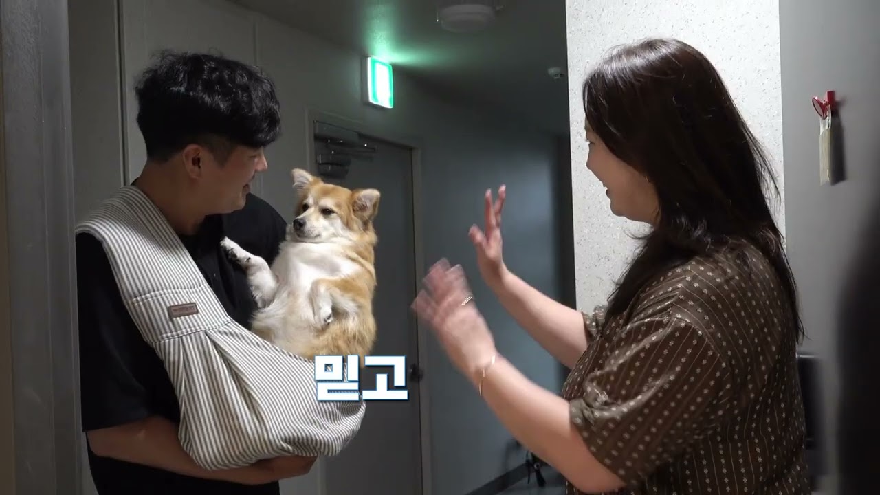 제품 홍보형 영상 사례 1
