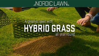 Nordic Lawn Green Hybrid fű termékek a Methode-Bau kínálatában