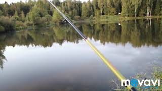 Ловля щуки в сергиево посадском районе