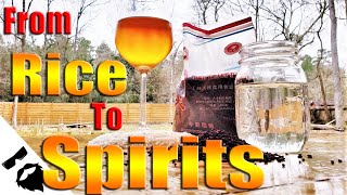Make BAIJIU with MOLDY RICE! Chinese White Whiskey😉